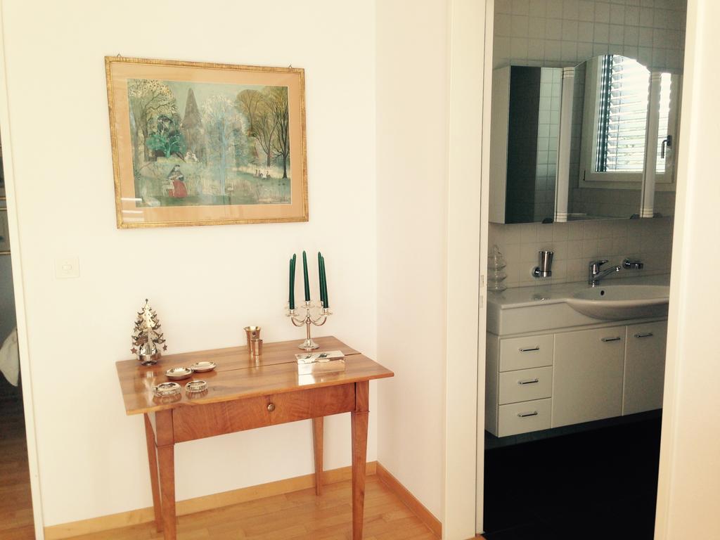 Avliving City Flat Basel With Roof Garden Zewnętrze zdjęcie