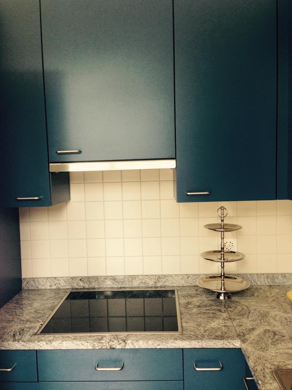 Avliving City Flat Basel With Roof Garden Zewnętrze zdjęcie